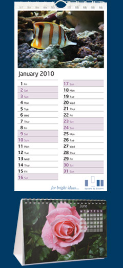 2010 Calendars